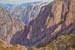 White Mist Black Canyon